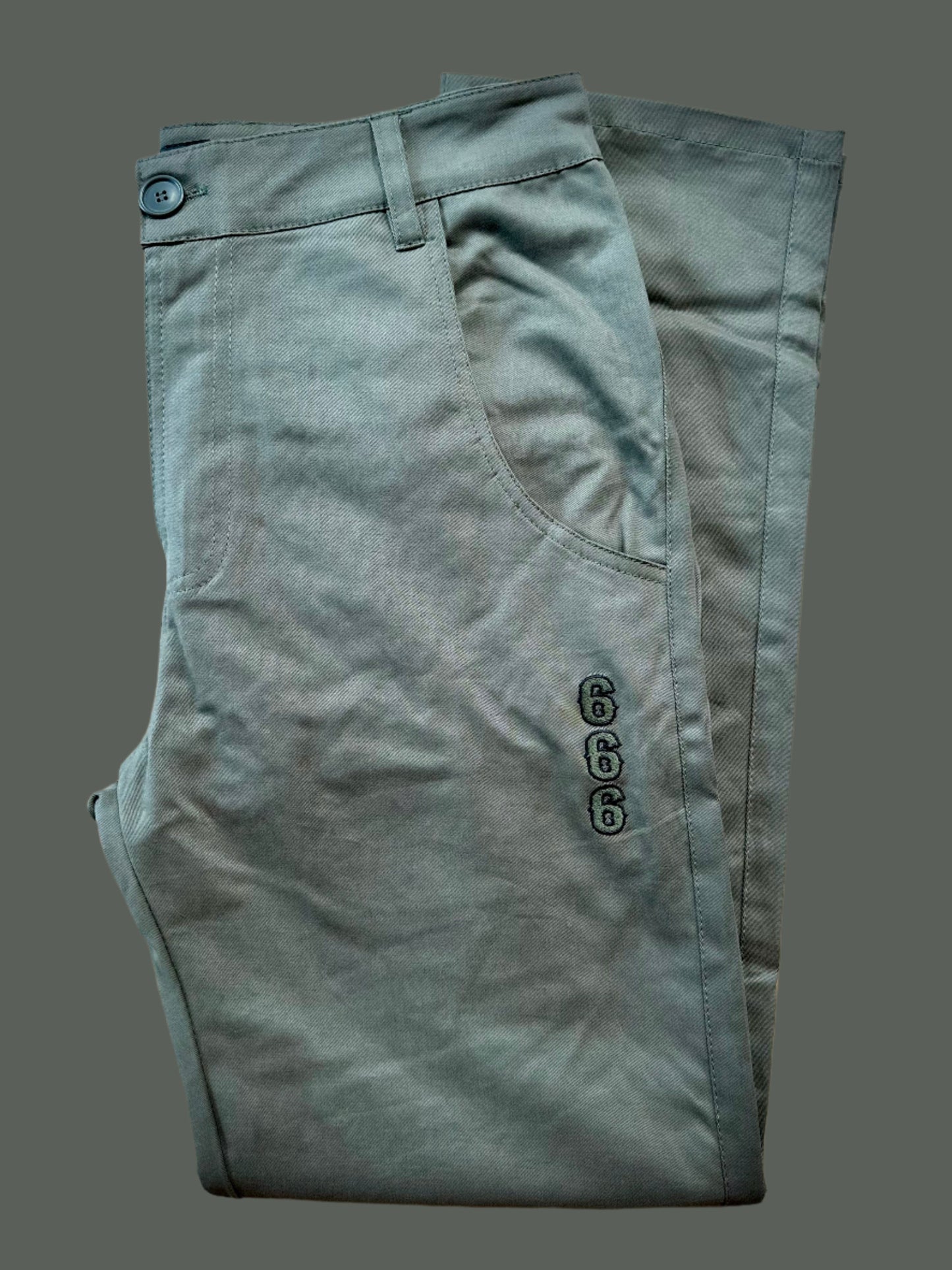 666 Chino Pants